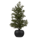 Vert foncé