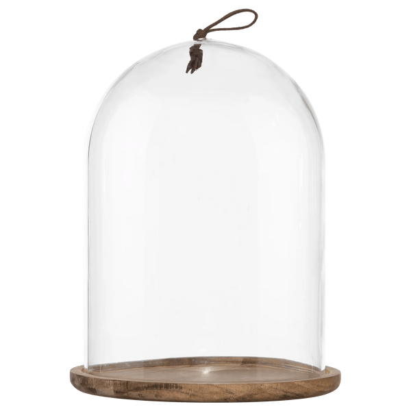 Glass Dome with Acacia Wood Base