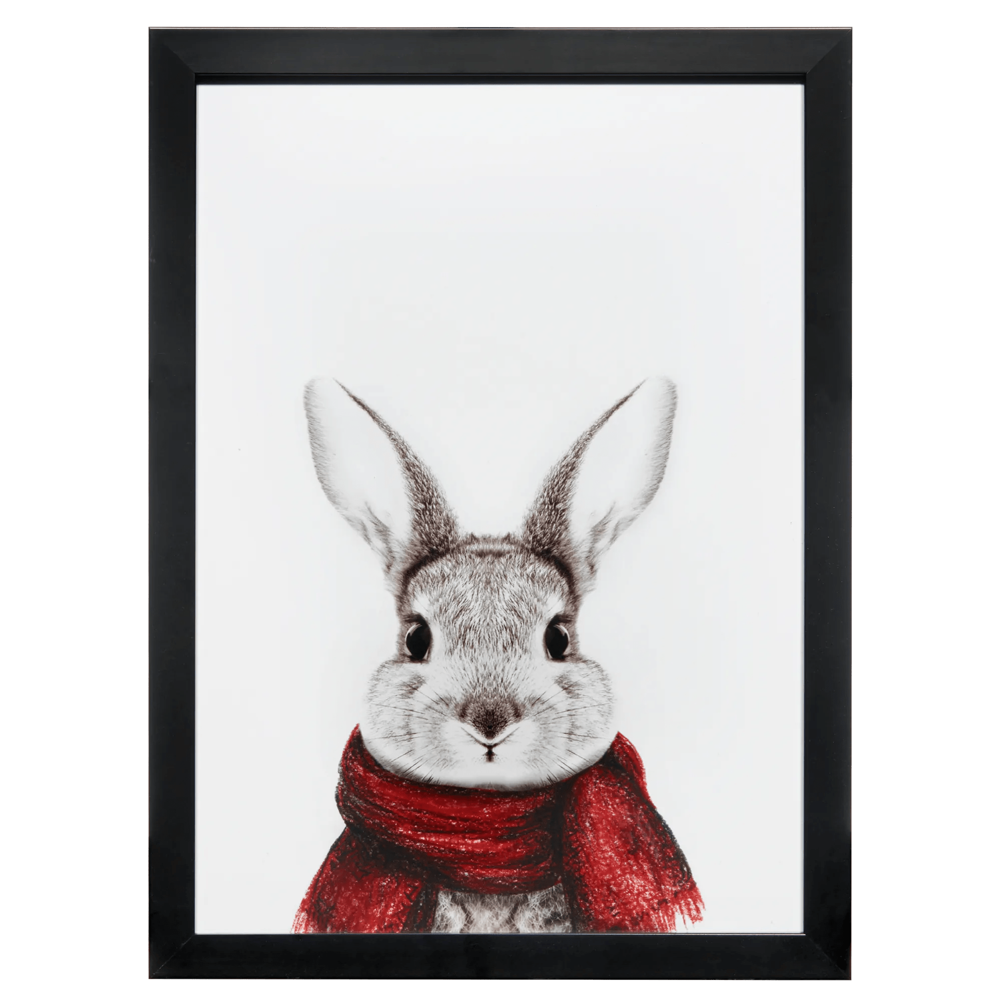 Art encadré sur toile de lapin