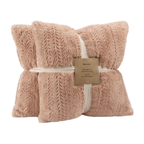 Ellyn Set of 2 Decorative Pillows