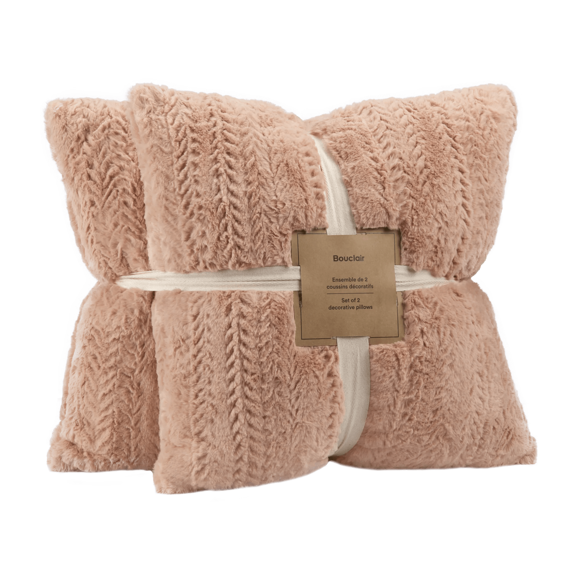 Ellyn Set of 2 Decorative Pillows