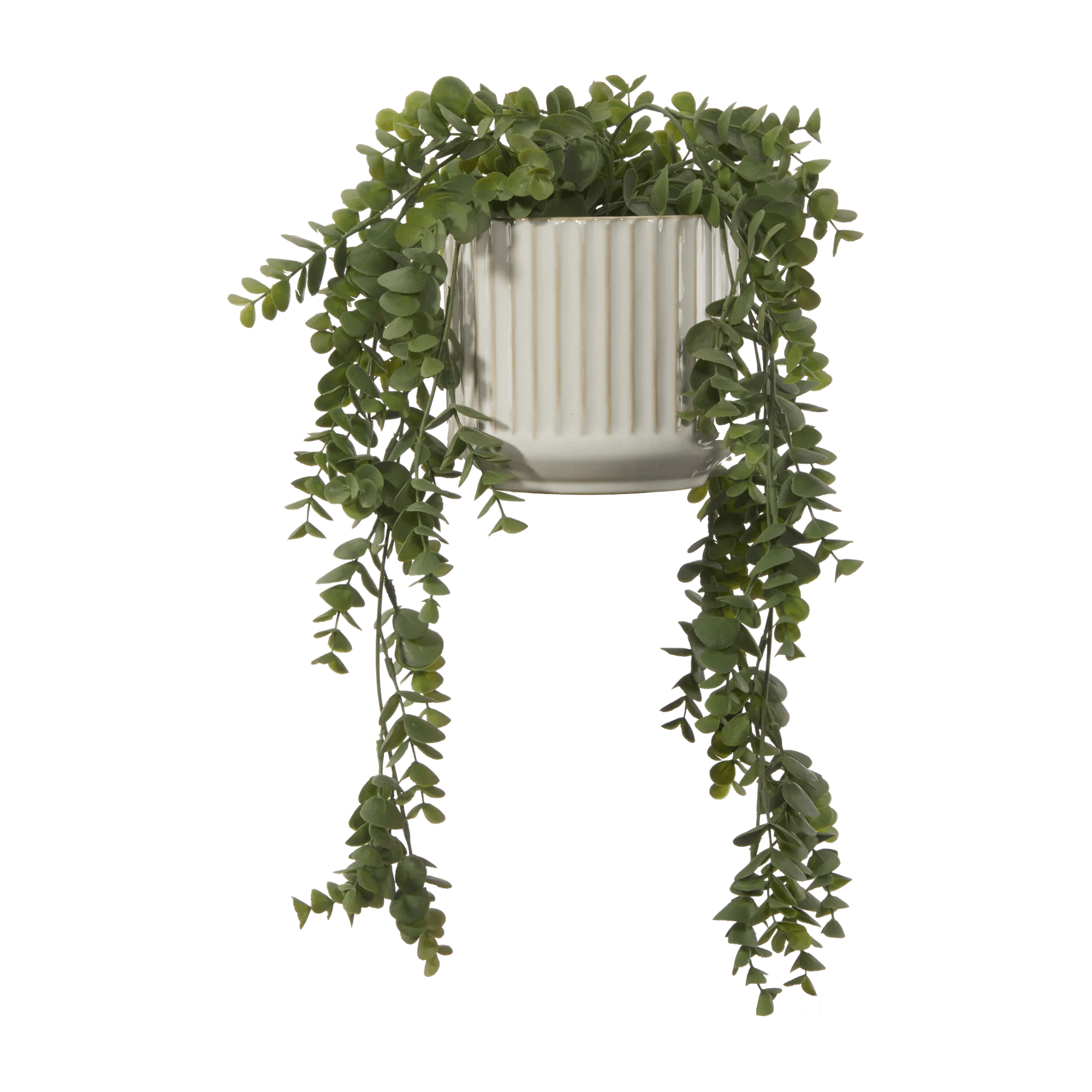 Long Eucalyptus in Ceramic Ribbed Pot – Bouclair
