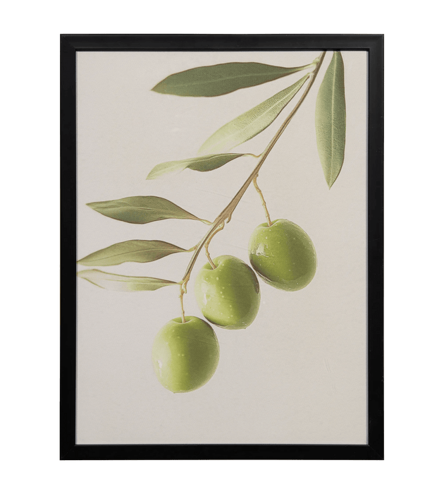 Cadre imprimé sur verre d'une branche d'olive