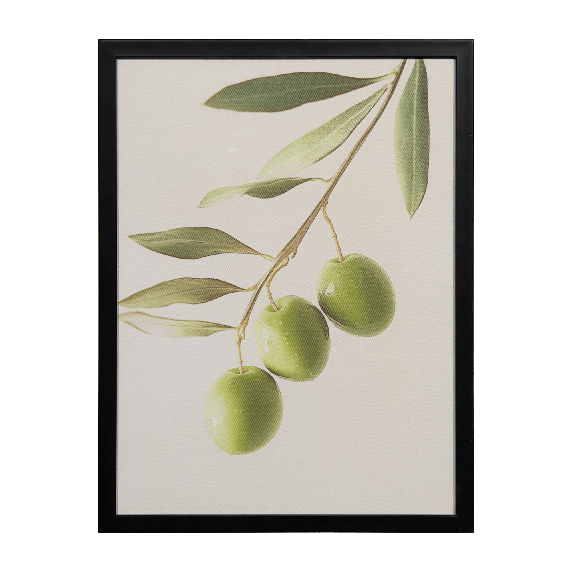 Olive Branch Printed Framed Art Under glass