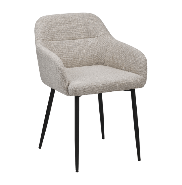 Modern Accent Chair with Arms