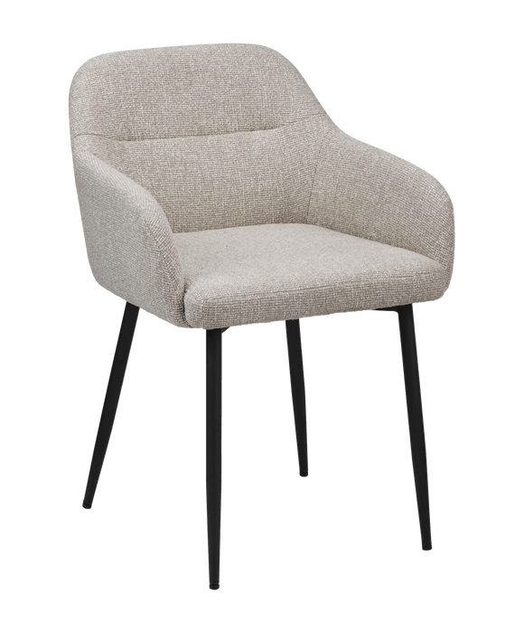 Modern Accent Chair with Arms