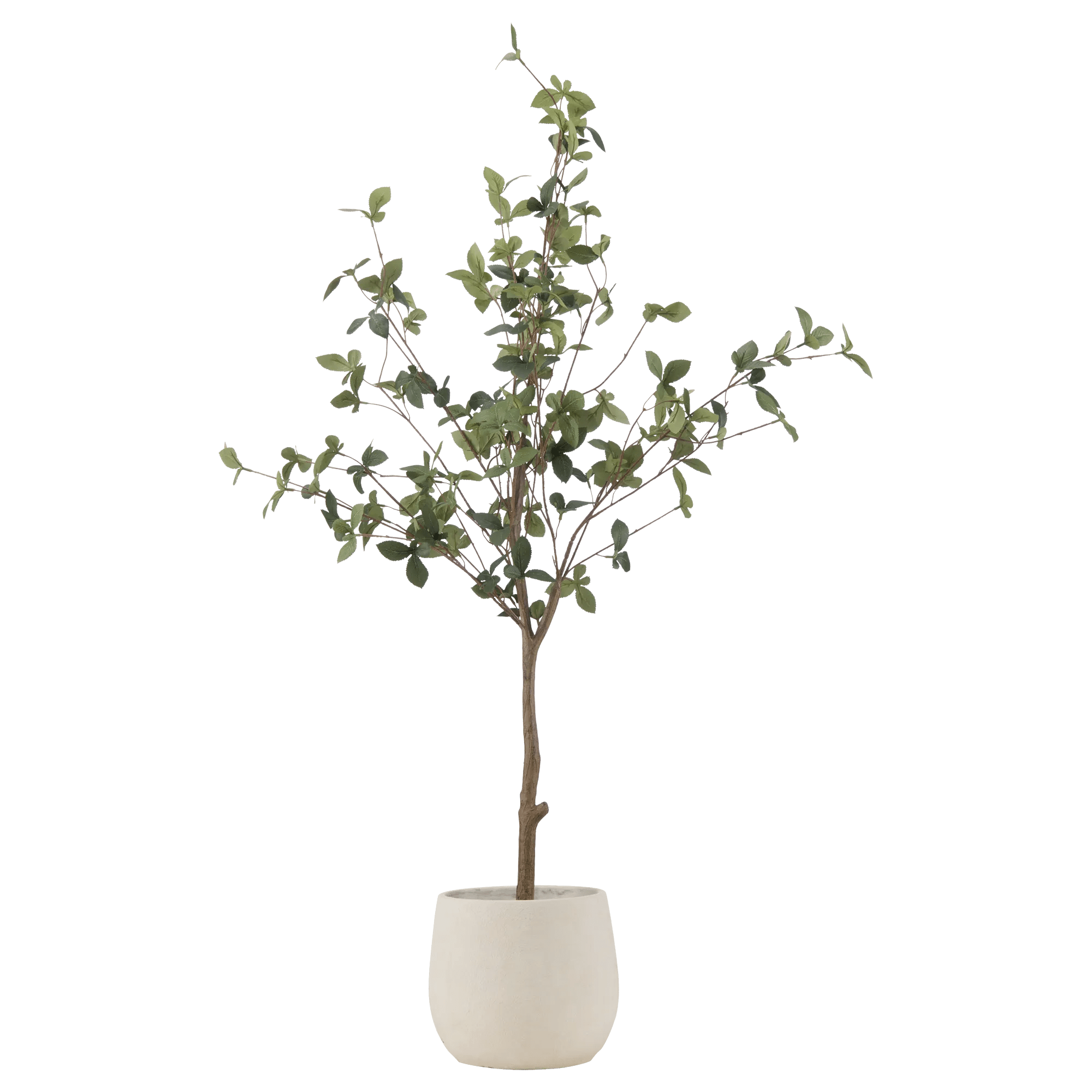 Olivier Artificiel en Pot