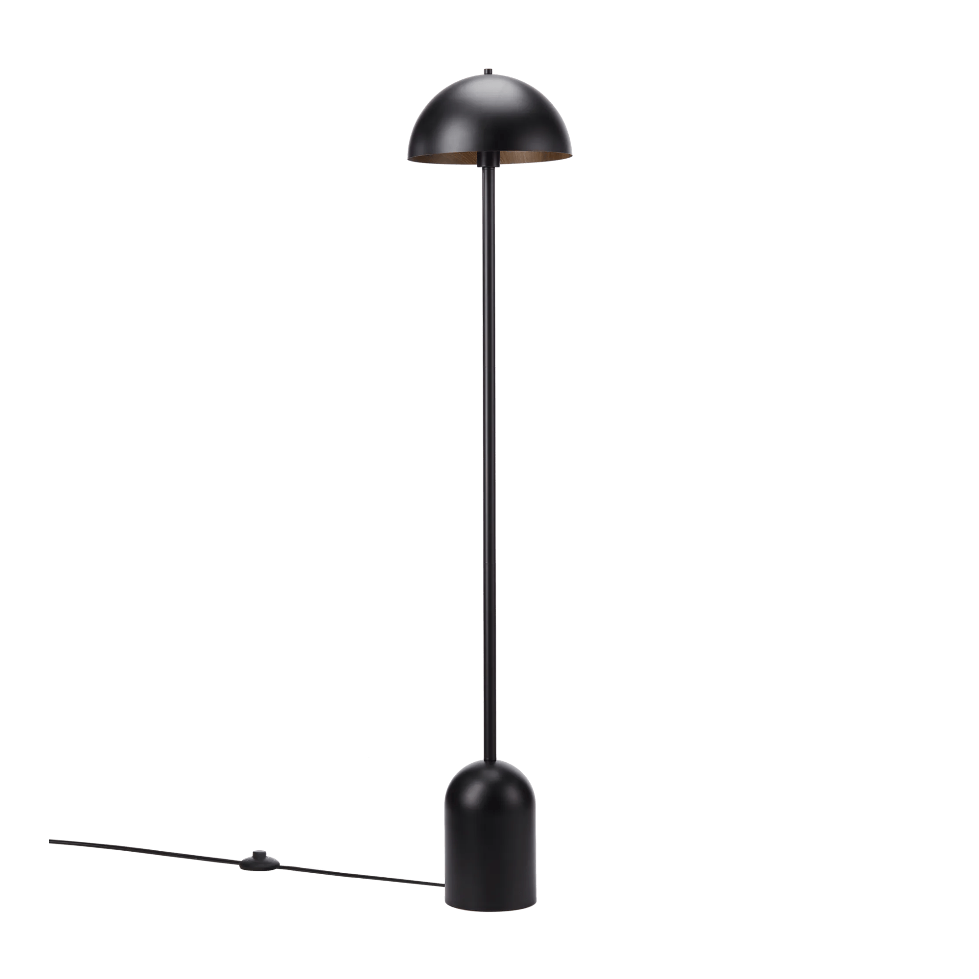 Modern Black Floor Lamp