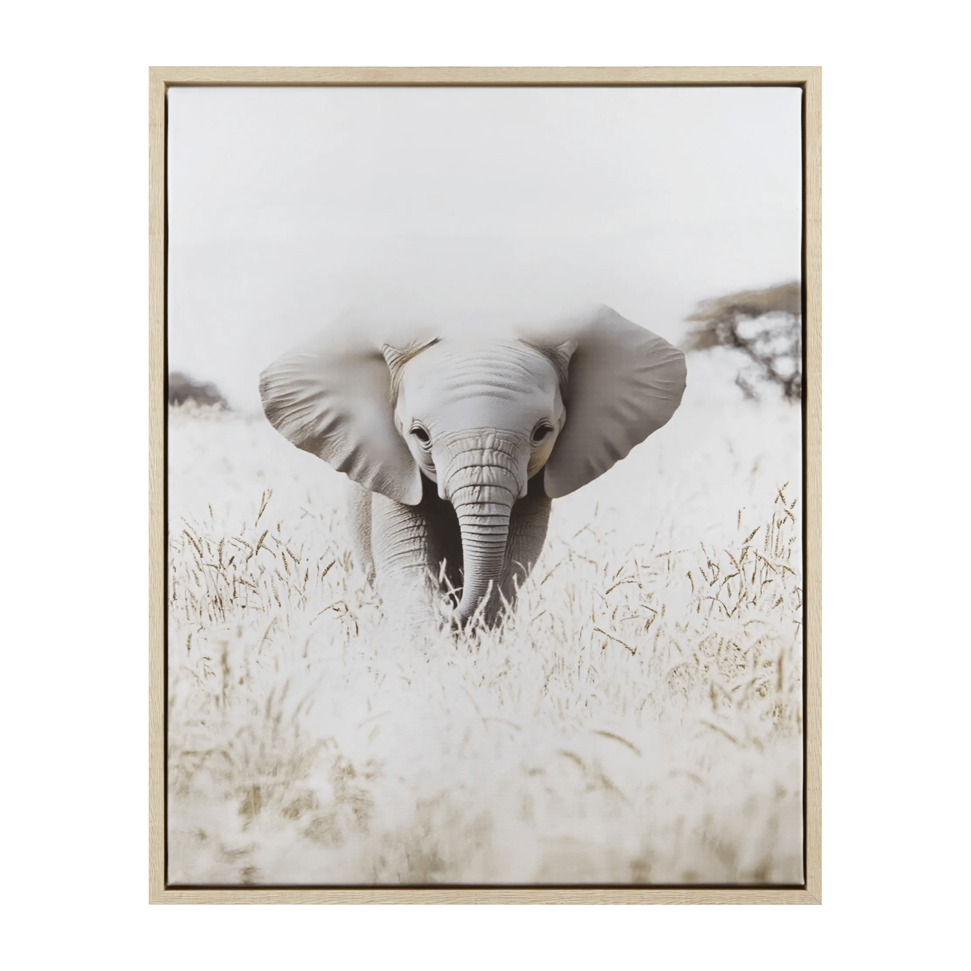 Elephant Framed Art