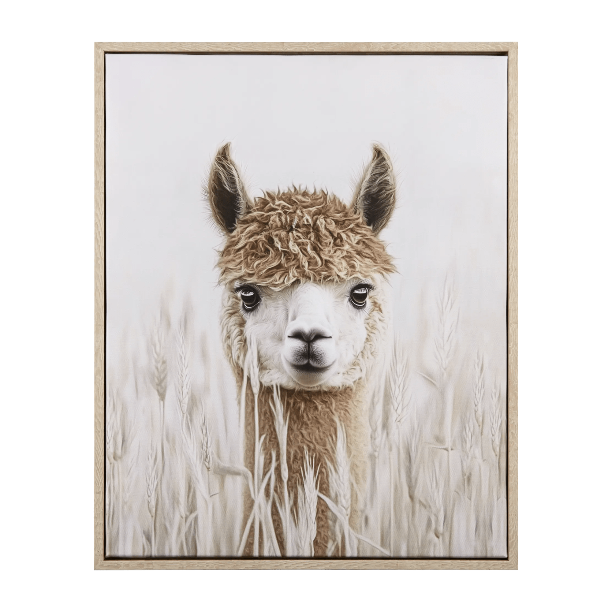 Llama Framed Art