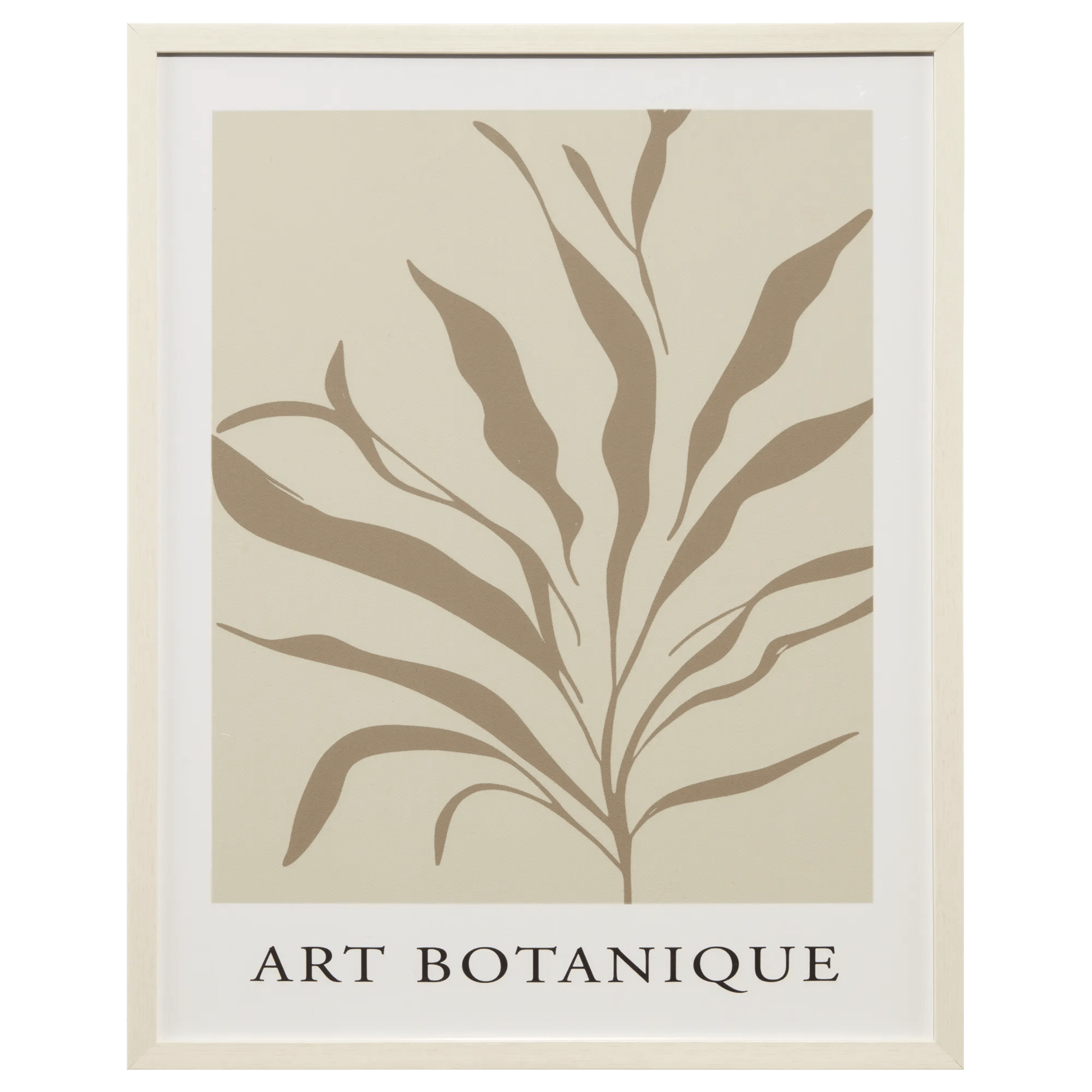 Art botanique imprimé sous verre