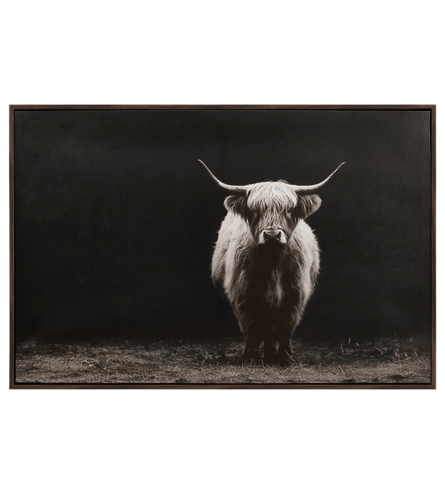 Impression sur toile encadrée vache Highland