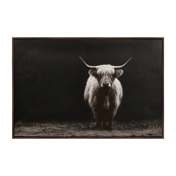 Highland Cattle Framed Printed Canvas