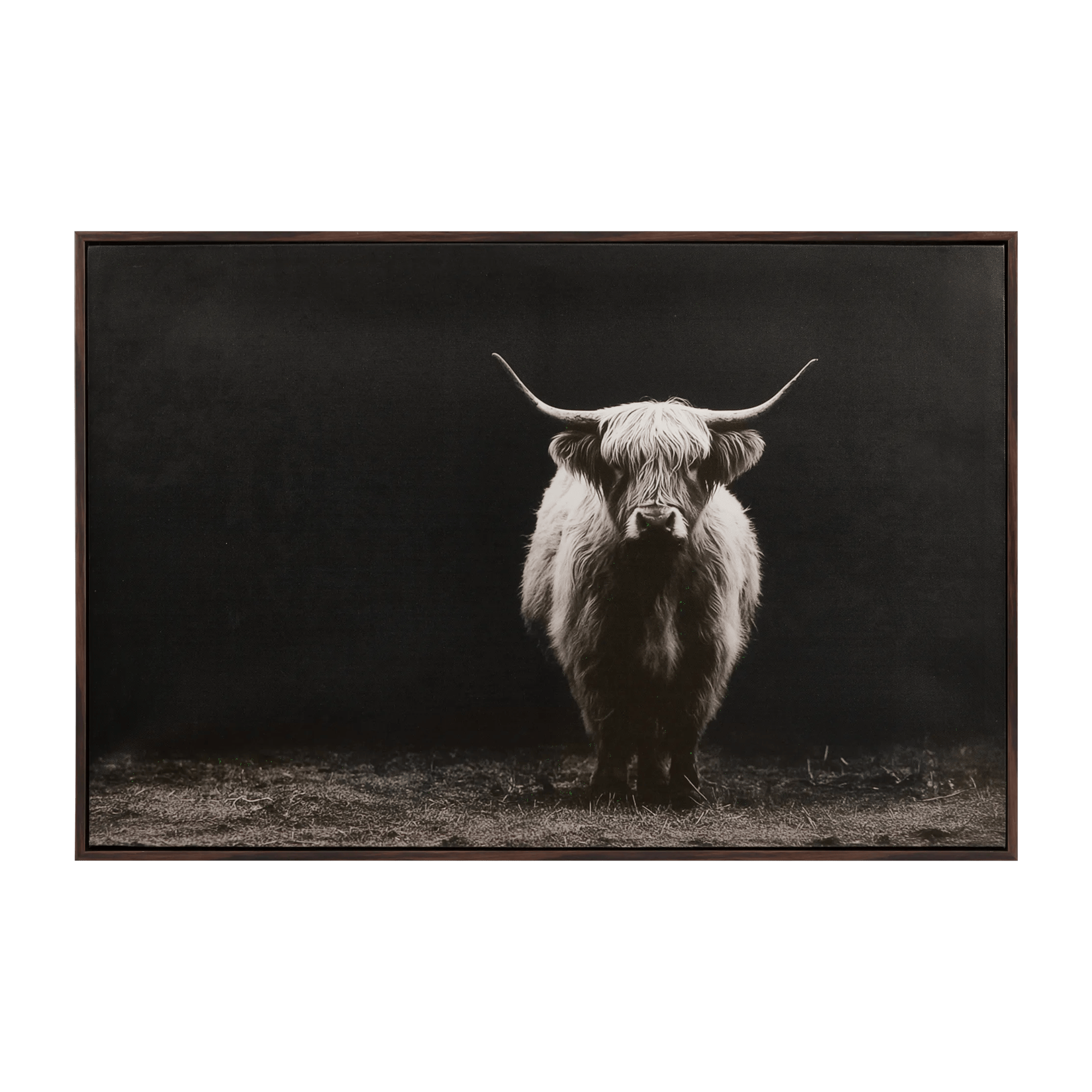Impression sur toile encadrée vache Highland
