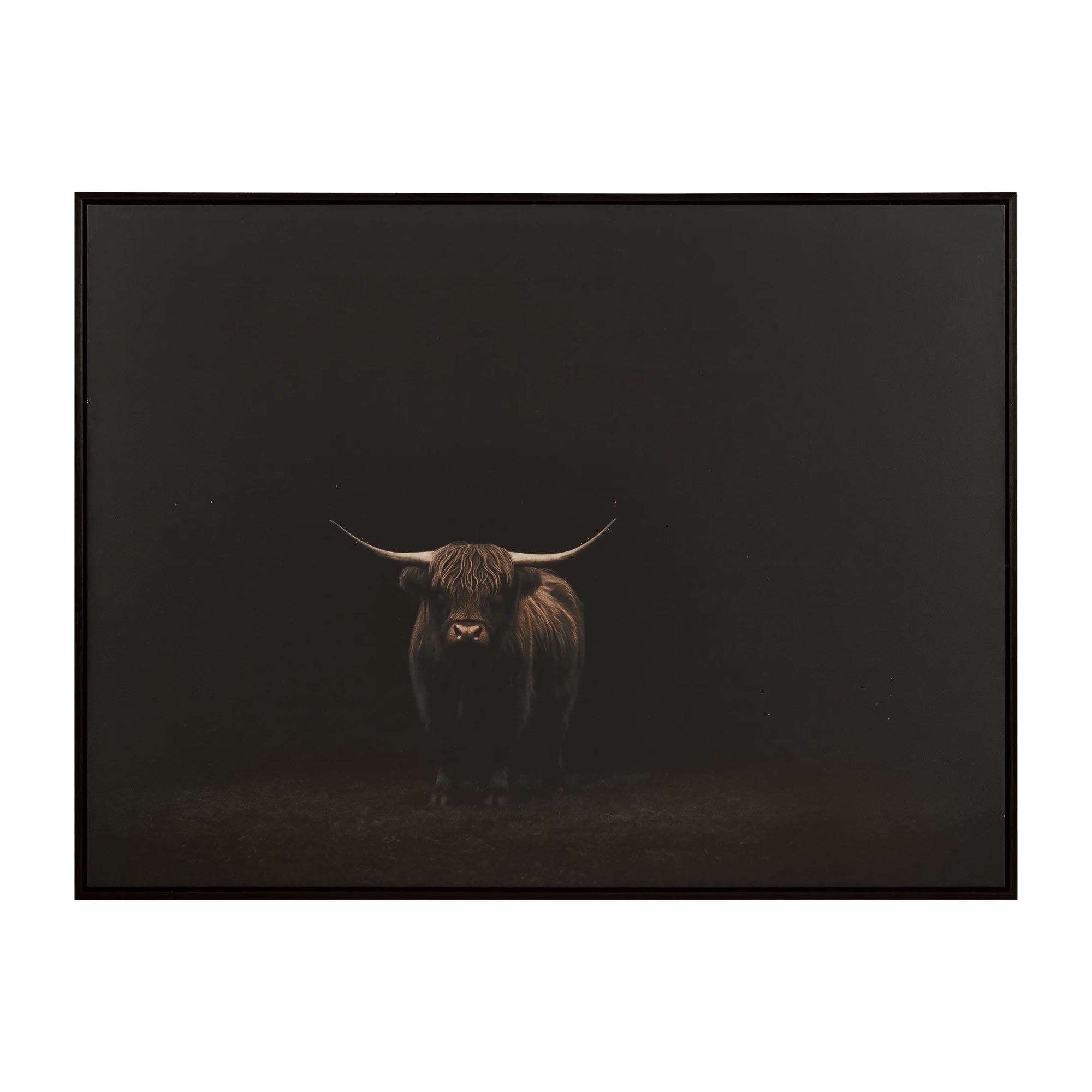 Highland Cow Framed Art