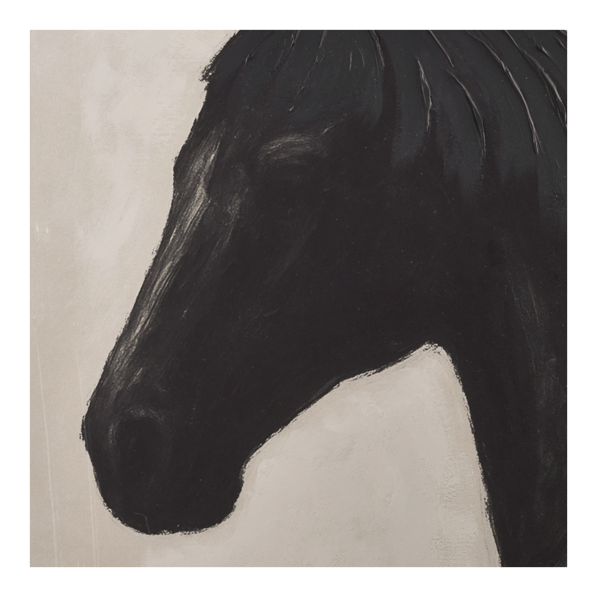 Profile of Black Horse Framed Under Glass