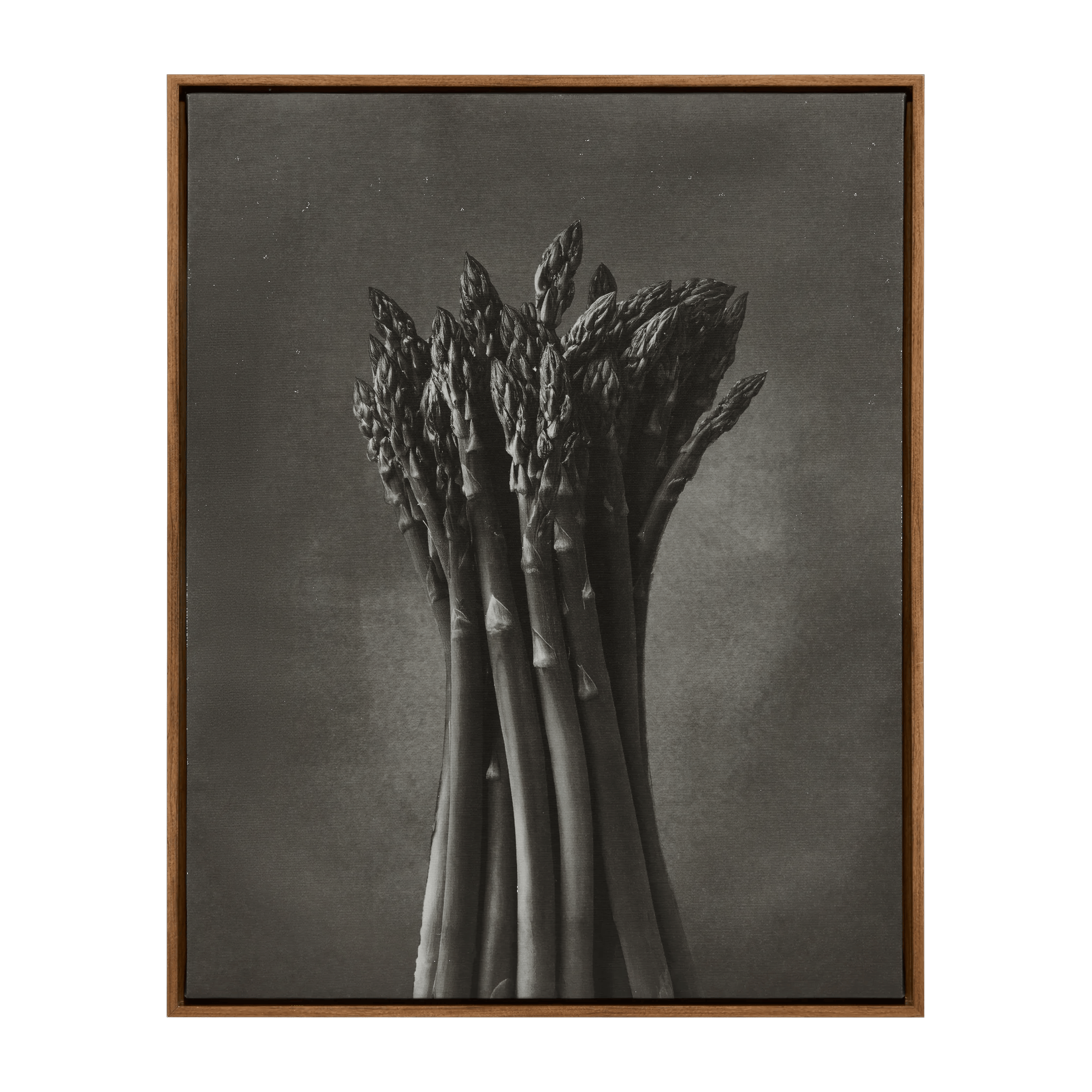 Asparagus Printed Framed Canvas