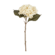 Blanc cassé