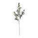 Vert foncé