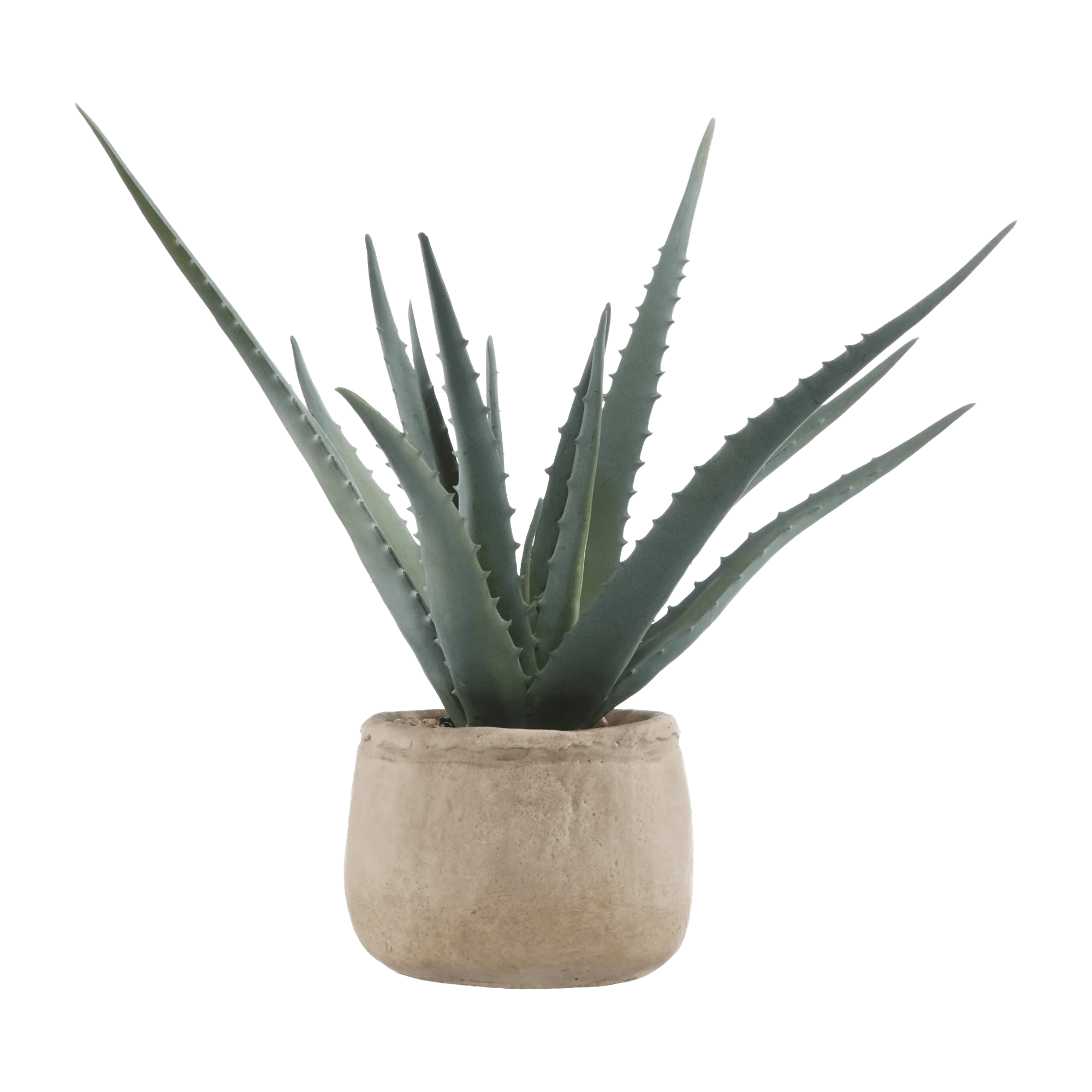 Artificial Aloe in Cement Pot