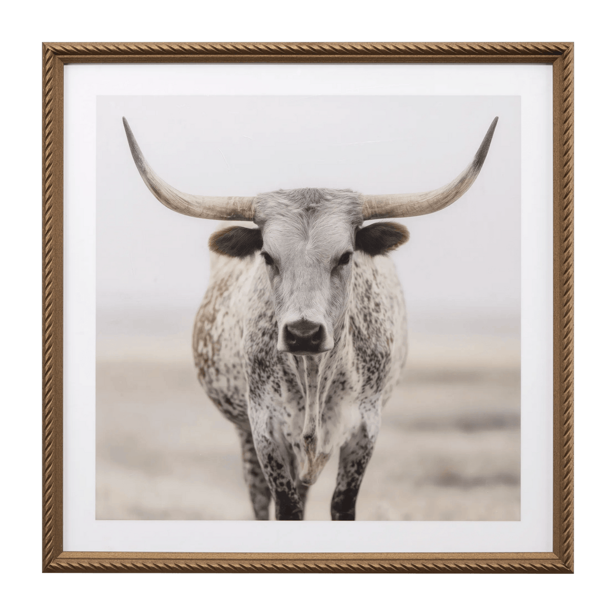Longhorn Cow Printed Framed Canvas