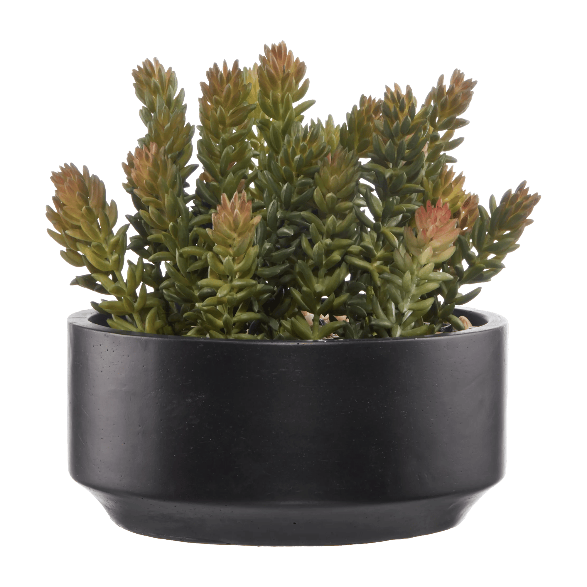 Artificial Round Potted Succulent
