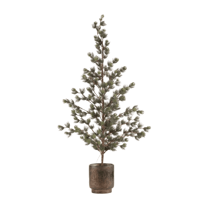 Sapin en pot noir