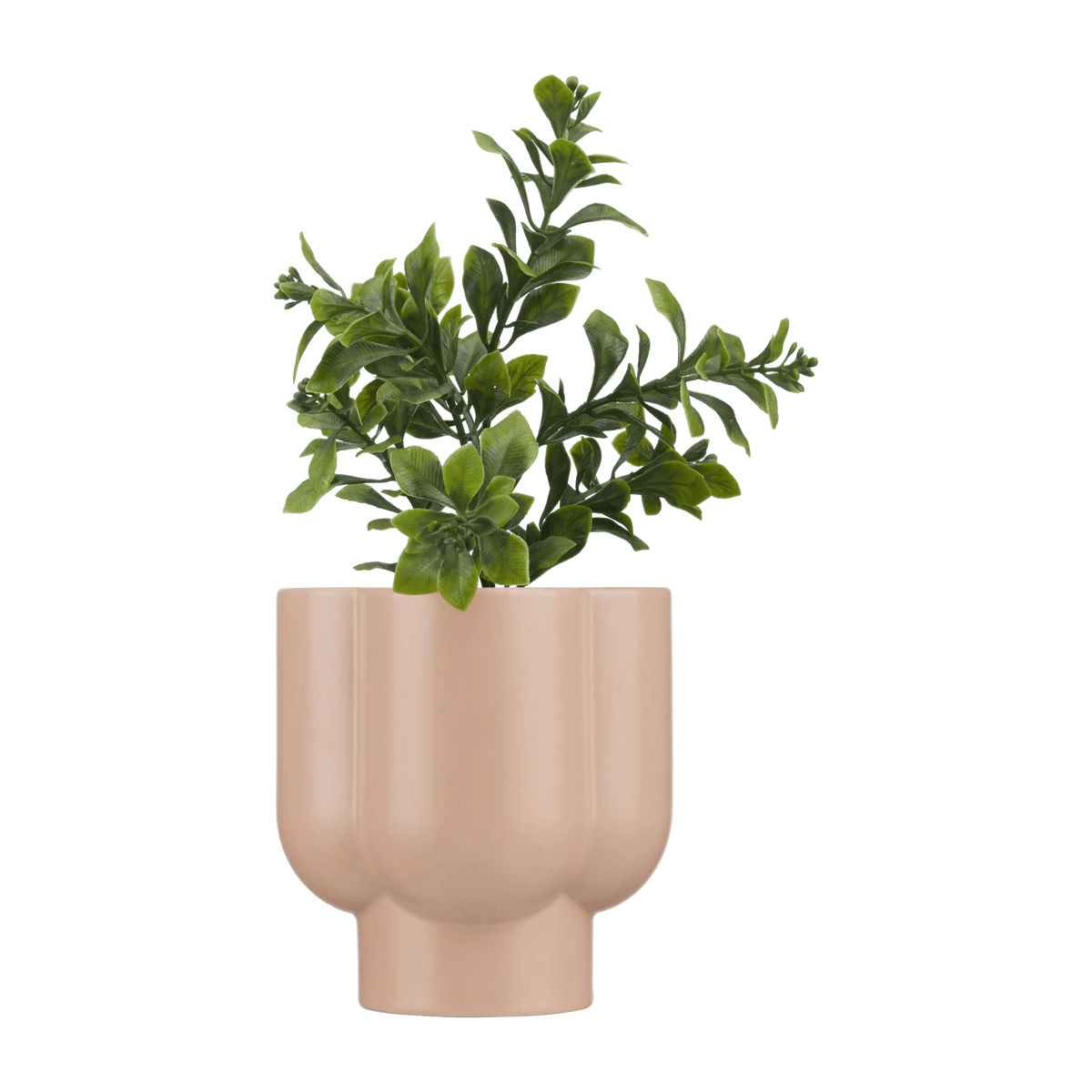 Greenery in Ceramic Bubble Pot