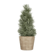 Vert pâle