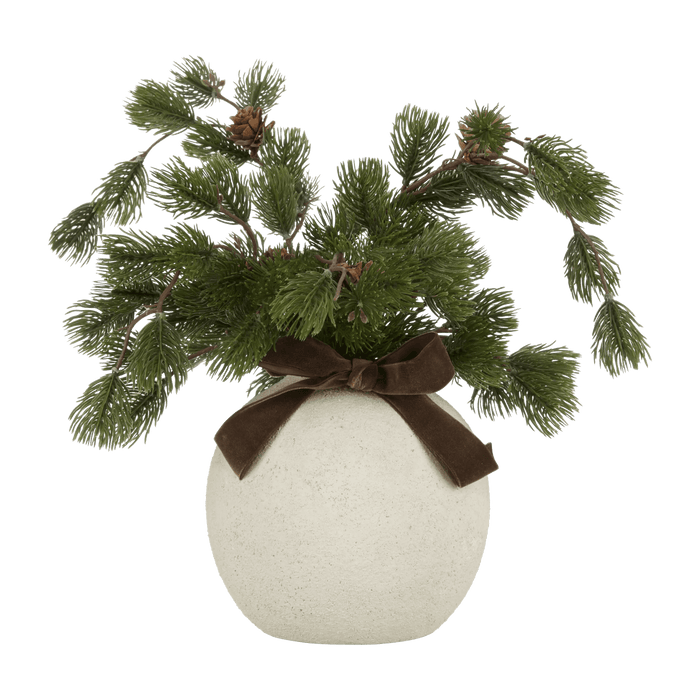 Pin en pot de céramique avec boucle