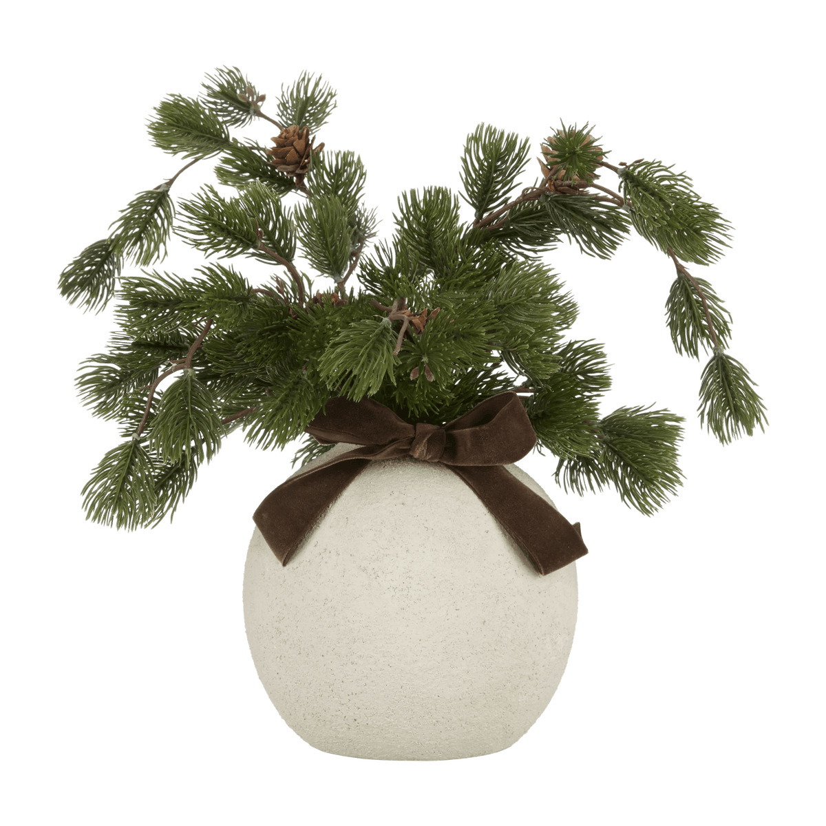 Potted Pine with Bow in Ceramic Pot