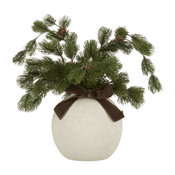 Potted Pine with Bow in Ceramic Pot