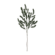 Vert foncé