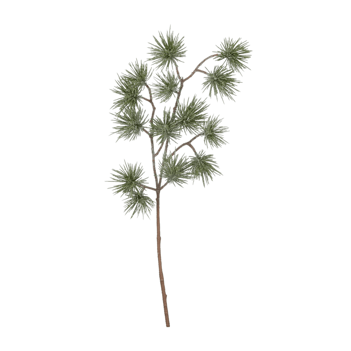 Pine Stem