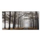 Mystical Pathway Printed Canvas | Bouclair